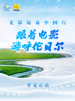 国产一区二区精品久久凹凸